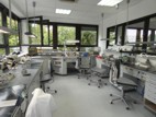Verkehrswertermittlung Büro-Laborflächen in Rheinhessen für Betriebliche Zwecke